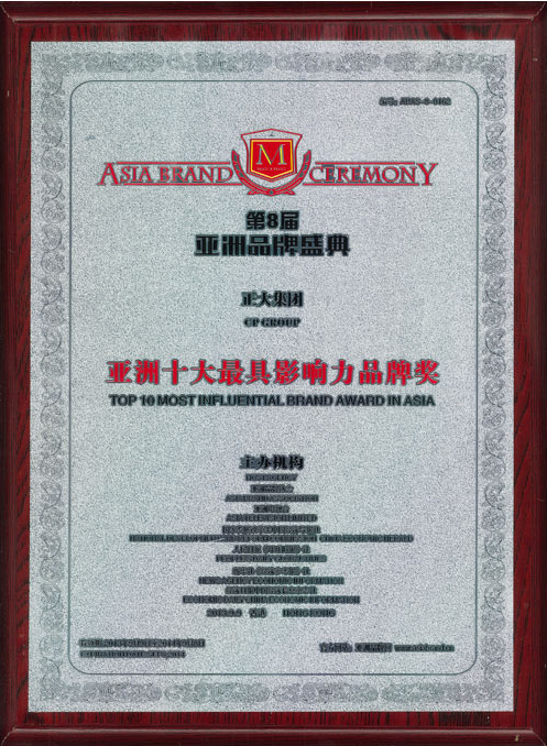 各類常用的高級搜索指令